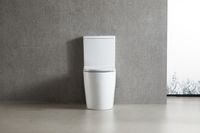 Унитаз-компакт Azario LEO TORNADO FLUSHING 360х595х820 напольный, безободковый, слив "Торнадо", в комплекте с быстросъемным сиденьем микролифт арт-AZ-1253CT — фото 10, Напольные унитазы