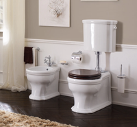 Унитаз Scarabeo Castellana со средним бачком цвет белый/хром арт-5308+5365CR — фото 1, Напольные унитазы