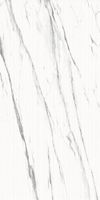 Керамогранит Lasa_GT Бел. 60x120 карвинг _ 1\46,08 арт-GT120603903MCR2 — фото 5, Керамогранит
