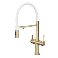 Товар: Смеситель для кухни с подключением фильтра для воды Rose R458G, золотой сатин - фото 1 Смеситель для кухни с подключением фильтра для воды Rose R458G, золотой сатин — фото 1, Смесители для кухни