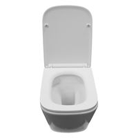 Товар: Унитаз подвесной Azario Armonia с системой смыва Tornado, безободковый с сиденьем микролифт 490*340*360 арт-AZ-2403 - фото 3 Унитаз подвесной Azario Armonia с системой смыва Tornado, безободковый с сиденьем микролифт 490*340*360 арт-AZ-2403 — фото 3, Подвесные унитазы