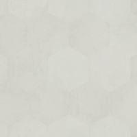 Обои 30 32993 Philipp Plein арт. арт-Z80002 — фото 1, Обои для стен