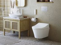 WASHLET RG Lite Сиденье-биде, цвет белый арт-TCF34120GEU — фото 2, Сиденья для унитаза