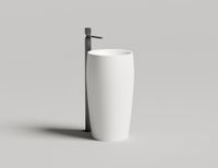 Раковина напольная ALDA 03
покраска по RAL полностью 130311GF — фото 1, Раковины