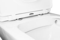 Унитаз-компакт Azario Iris 600х380х775 напольный, безободковый, с сиденьем микролифт (AZ 8353) арт-AZ-8353 — фото 5, Напольные унитазы