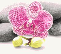 шторка д/в тканевая 180х200см "Мудрость" MZ-75 — фото 1, Шторки на ванну