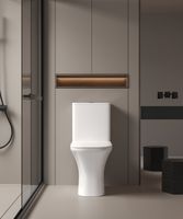 Унитаз VETTORE Tornado напольный безободковый CT11134 (650х340х790) Ceruttispa — фото 2, Напольные унитазы