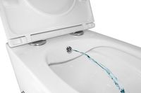 Унитаз подвесной Azario Grado 365х495х365 безободковый, с функцией биде, с быстросъемным сиденьем микролифт арт-AZ-046E-NR — фото 7, Подвесные унитазы