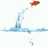 шторка д/в тканевая 180х200см "Золотая рыбка" MZ-45 — фото 1, Шторки на ванну