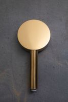 Душевая лейка Allen Brau Priority 5.31B20-GB золото — фото 5, Лейки для душа