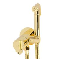 FORTIS Гигиен. душ.набор, см-ль мон..встр., термостат с держ./лейка/шланг латунь, золото 31558 — фото 1, Гигиенические души