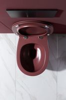Чаша подвесного унитаза Allen Brau Fantasy бордо арт-4.11004.BD — фото 14, Подвесные унитазы