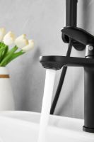 Товар: Смеситель для раковины с гигиеническим душем BELZ B12713-7, черный матовый - фото 7 Смеситель для раковины с гигиеническим душем BELZ B12713-7, черный матовый — фото 7, Смесители для раковины