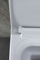 Унитаз с инсталляцией Allen Brau Infinity 4.21011.20/8.9466.0.000.000.1 белый глянец 00316506 — фото 24, Комплекты унитаз + инсталляция