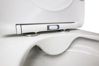 Унитаз-компакт Azario Flin 365х590х790 напольный, безободковый с быстросъемным сиденьем микролифт арт-AZ-1363C — фото 7, Напольные унитазы