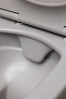 Товар: Чаша подвесного унитаза Allen Brau Liberty антрацит арт-4.33007.AN - фото 9 Чаша подвесного унитаза Allen Brau Liberty антрацит арт-4.33007.AN — фото 9, Подвесные унитазы