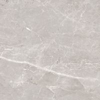 Керамогранит Tulip_GT Сер. 60x60 _ 1\54,72 арт-GT606012101SPR — фото 5, Керамогранит