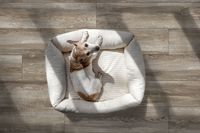 Керамогранит Bremen_GT Серо-беж. 19,8x80 _ 1\57,024 арт-GT208022015MСR — фото 13, Керамогранит