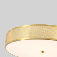 Светильник потолочный арт-BUTTON PL40W LED — фото 8, Подвесные светильники