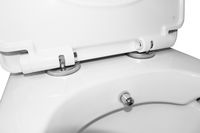 Унитаз-моноблок с функцией биде AZARIO Sente 375х665х785 напольный, безободковый, горизонтальный слив, сиденье дюропласт микролифт арт-AZ-8614B — фото 4, Напольные унитазы