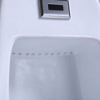 Писсуар подвесной CeramaLux арт-X546P — фото 4, Писсуары