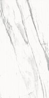 Керамогранит Lasa_GT Бел. 60x120 карвинг _ 1\46,08 арт-GT120603903MCR2 — фото 8, Керамогранит