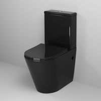 Унитаз Color (620х365х810)черный напольныйбезободковый с тонкой крышкой, 2 места арт-GR-4480BS — фото 1, Напольные унитазы