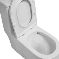 Товар: Унитаз-моноблок Azario Eagle 690х360х800 безободковый, слив "Торнадо", с быстросъемным сиденьем "Микролифт" арт-AZ-80673 - фото 5 Унитаз-моноблок Azario Eagle 690х360х800 безободковый, слив "Торнадо", с быстросъемным сиденьем "Микролифт" арт-AZ-80673 — фото 5, Напольные унитазы