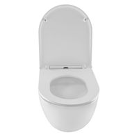 Унитаз подвесной Azario PRO (круглый) СКРЫТОЕ ТОРНАДО безободковый унитаз в комплекте с сидением микролифт скрытая система смыва 490*370*360 мм арт-PRO-0001 UQ3 — фото 5, Подвесные унитазы