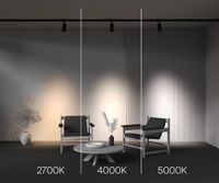 Трековый светильник Technical TR197-3-30WCCT-M-B — фото 9, Трековые светильники