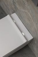 Товар: Чаша подвесного унитаза Allen Brau Liberty антрацит арт-4.33007.AN - фото 11 Чаша подвесного унитаза Allen Brau Liberty антрацит арт-4.33007.AN — фото 11, Подвесные унитазы