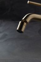 Смеситель для биде Allen Brau Priority 5.31A04-GB (с донным клапаном) золото — фото 4, Смесители для биде