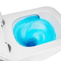 Унитаз подвесной Azario LEGENDA 490x345x325 безободковый, система смыва "Скрытое торнадо", в комплекте с быстросъемным сиденьем микролифт (AZ-2305AS) арт-AZ-2305-AS — фото 7, Подвесные унитазы