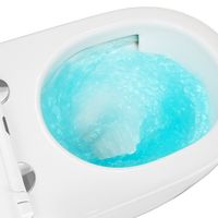 Унитаз подвесной Azario NEMI 530х360х360 безободковый, система слива "скрытое Торнадо", с быстросъемным сиденьем микролифт арт-AZ-1293WH — фото 8, Подвесные унитазы