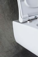 Унитаз с инсталляцией Allen Brau Priority, клавиша хром 301296+301297+306274+306276 — фото 25, Комплекты унитаз + инсталляция