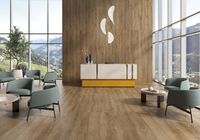 Плитка Geotiles (1,44 кв.м.) арт-RLV Haru Roble 60x120 Matt — фото 4, Керамическая плитка