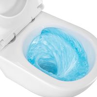 Товар: Унитаз подвесной Azario BONELLE 345х490х350 безободковый, смыв "Торнадо", с быстросъемным сиденьем микролифт арт-AZ-2801E - фото 13 Унитаз подвесной Azario BONELLE 345х490х350 безободковый, смыв "Торнадо", с быстросъемным сиденьем микролифт арт-AZ-2801E — фото 13, Подвесные унитазы