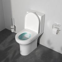 X-joy унитазкомпакт без ободка с сиденьем микролифт арт-C85A8601SC — фото 1, Напольные унитазы