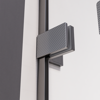 Душевая дверь распашная Veconi Premium Alassio GR, 1300х2000, брашированный графит, стекло прозрачное осветленное AL-130-00-GR-C4 — фото 4, Распашные душевые двери