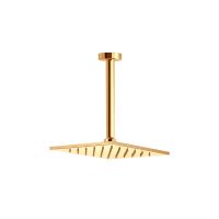 Товар: Верхний душ Webert AC0943010, золото - фото 1 Верхний душ Webert AC0943010, золото — фото 1, Верхние души