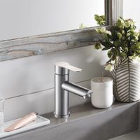 Смеситель для раковины из нержавеющей стали EKO, EKO05-210 — фото 1, Смесители для раковины