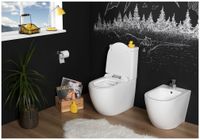 Товар: Сливной бачок Aquanet Cetus-C2 BL-102N-TPT - фото 6 Сливной бачок Aquanet Cetus-C2 BL-102N-TPT — фото 6, Комплектующие для туалета