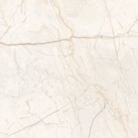 Плитка Гранитея (1,44 кв.м.) арт-G231-Iset Elegant 600х600 MR — фото 1, Керамическая плитка