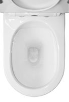 Товар: Унитаз-компакт Azario Verde 650х380х790 напольный, безободковый, с быстросъемным сиденьем микролифт арт-AZ-8220 - фото 9 Унитаз-компакт Azario Verde 650х380х790 напольный, безободковый, с быстросъемным сиденьем микролифт арт-AZ-8220 — фото 9, Напольные унитазы