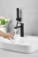 Товар: Смеситель для раковины с гигиеническим душем BELZ B12713-7, черный матовый - фото 6 Смеситель для раковины с гигиеническим душем BELZ B12713-7, черный матовый — фото 6, Смесители для раковины