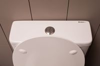 Товар: Сливной бачок Aquanet Cetus-C2 BL-102N-TPT - фото 12 Сливной бачок Aquanet Cetus-C2 BL-102N-TPT — фото 12, Комплектующие для туалета