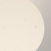 Товар: Настенный светильник (бра) Outdoor O598WL-01B - фото 12 Настенный светильник (бра) Outdoor O598WL-01B — фото 12, Уличное освещение