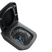 Унитаз подвесной Lemark Florex, безободковый, с сиденьем микролифт,  черный, арт-9612002 — фото 7, Подвесные унитазы