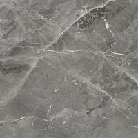 Керамогранит Tulip_GT Темно-сер. 60x60 _ 1\54,72 арт-GT606012109SPR — фото 10, Керамогранит