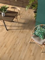 Керамогранит Klaipeda_GT Светло-беж. 19,8x80 _ 1\57,024 арт-GT208021407MСR — фото 11, Керамогранит